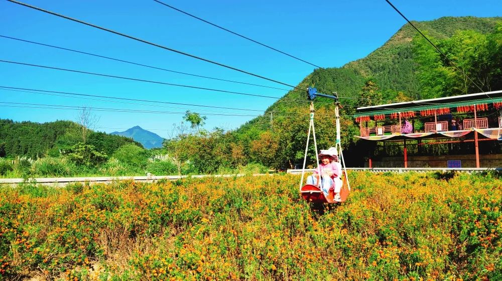 黄山杨家寨渔乐节,渔你相约优惠