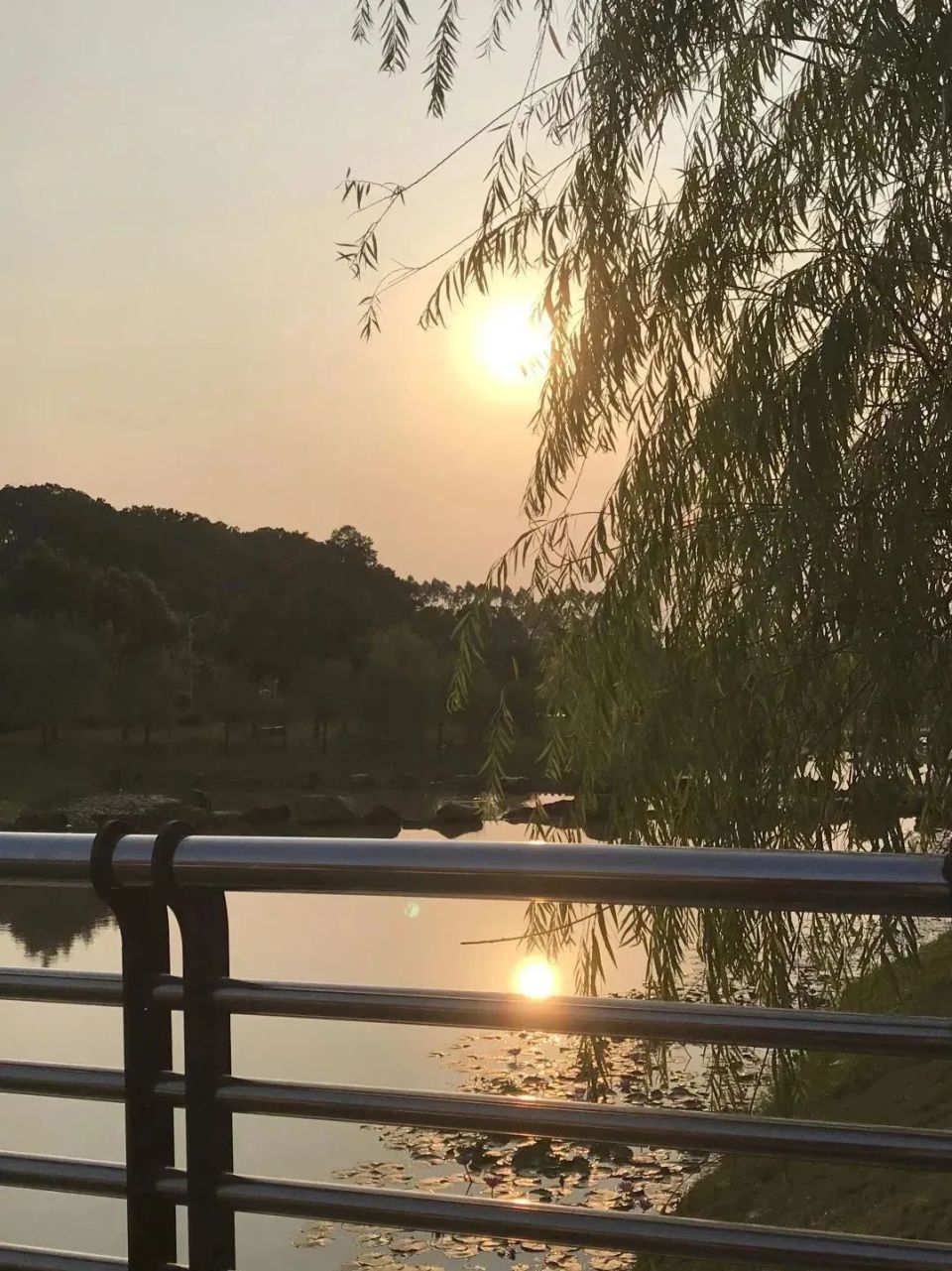 欢迎乘坐观光游览车,欢迎乘坐观光巴士语音