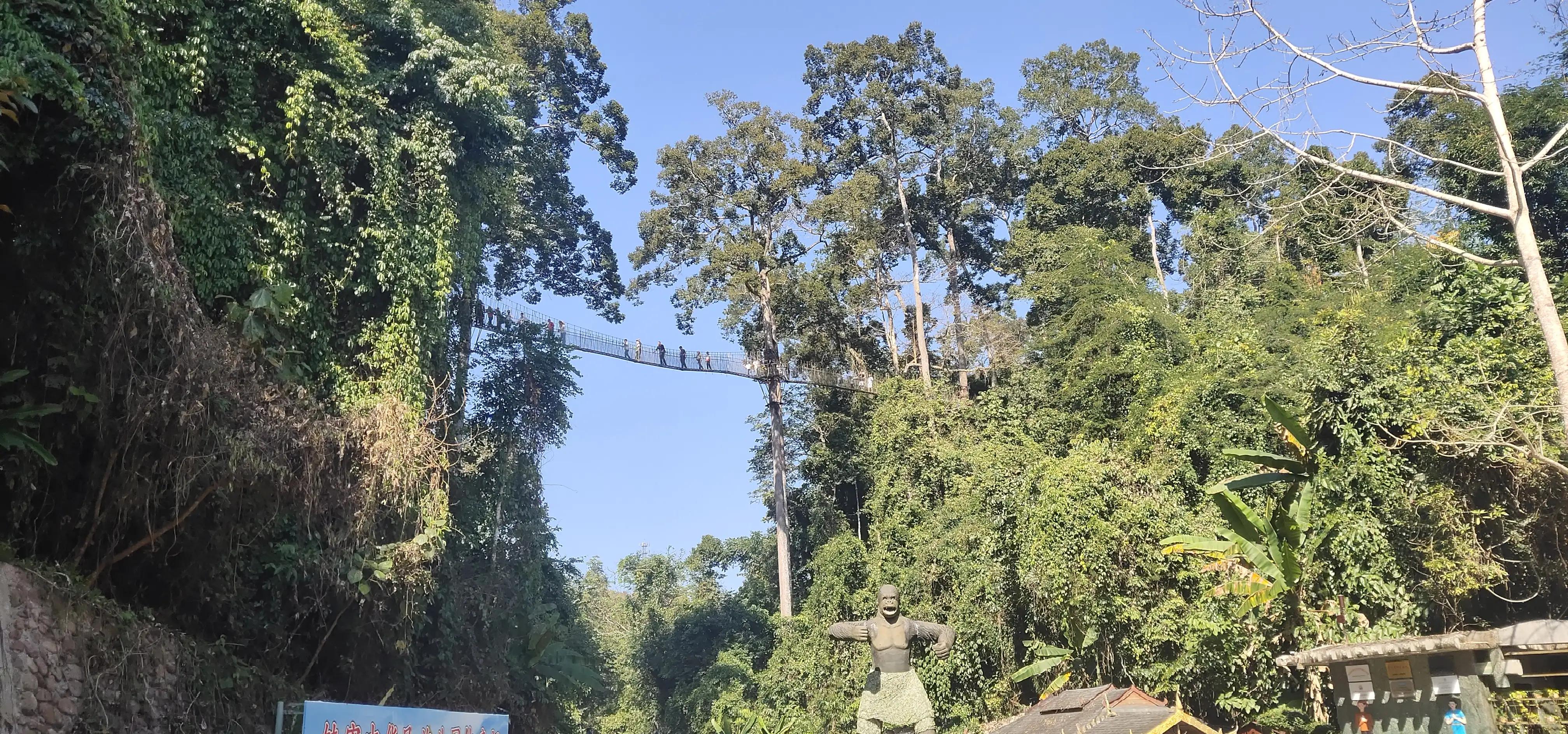 新能源汽车和油车驾驶感受,新能源车和燃油车驾驶感受哪个好