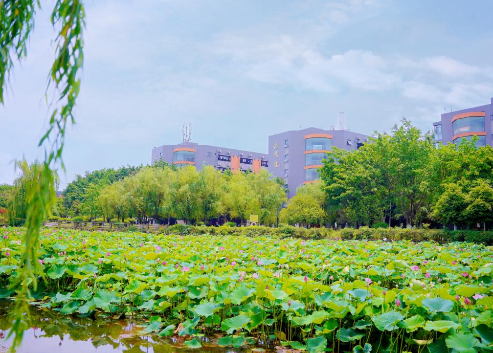 这个互联网时代“薪”宠专业，就业率高，就业面广