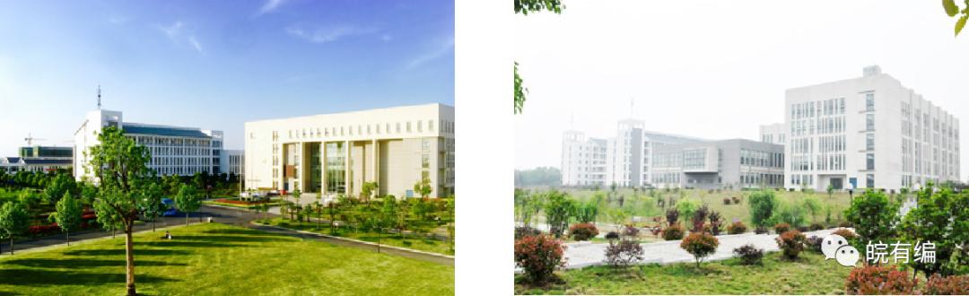 合肥城市学院人才引进公示,合肥城市学院招录情况