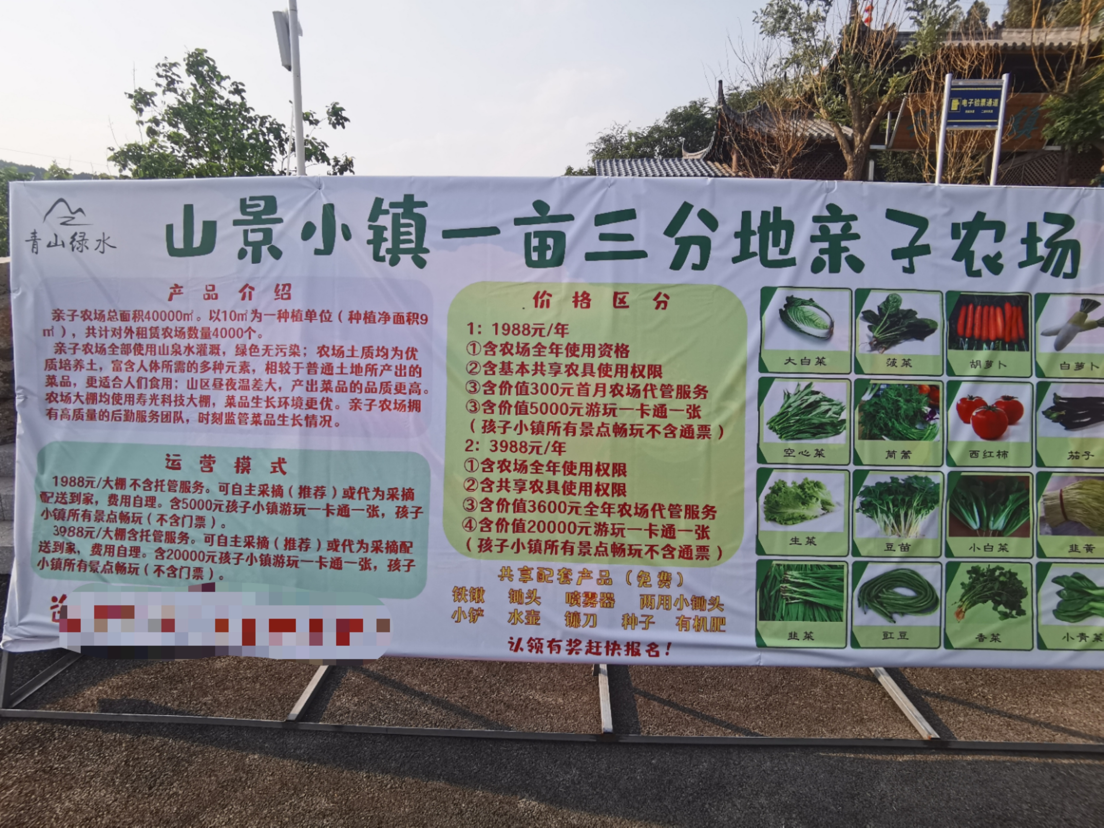 西营场游玩遛娃,周末遛娃西营好去处