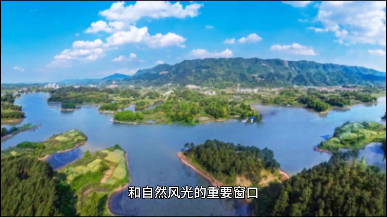 重庆市大足区人口,大足区简介