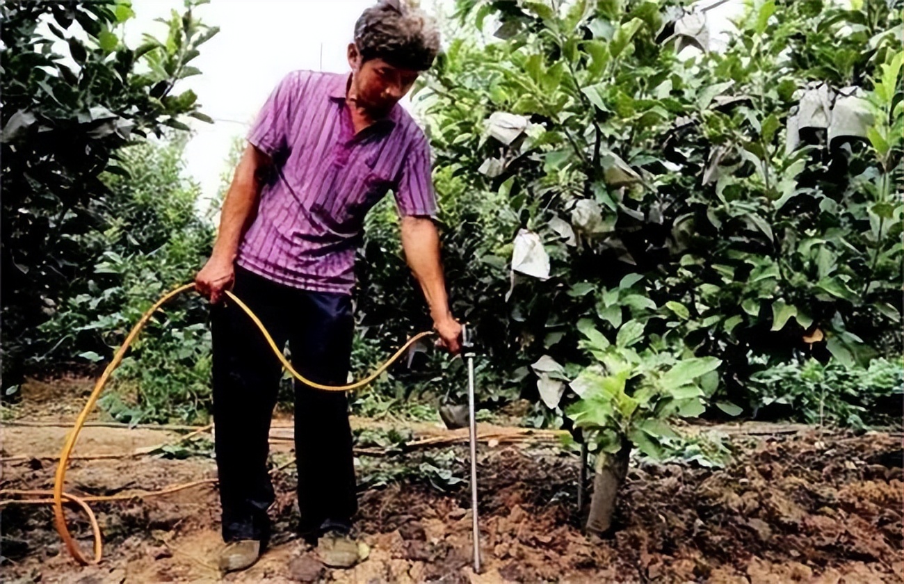 水溶肥好还是控释肥好,水溶肥液体的好还是颗粒的好