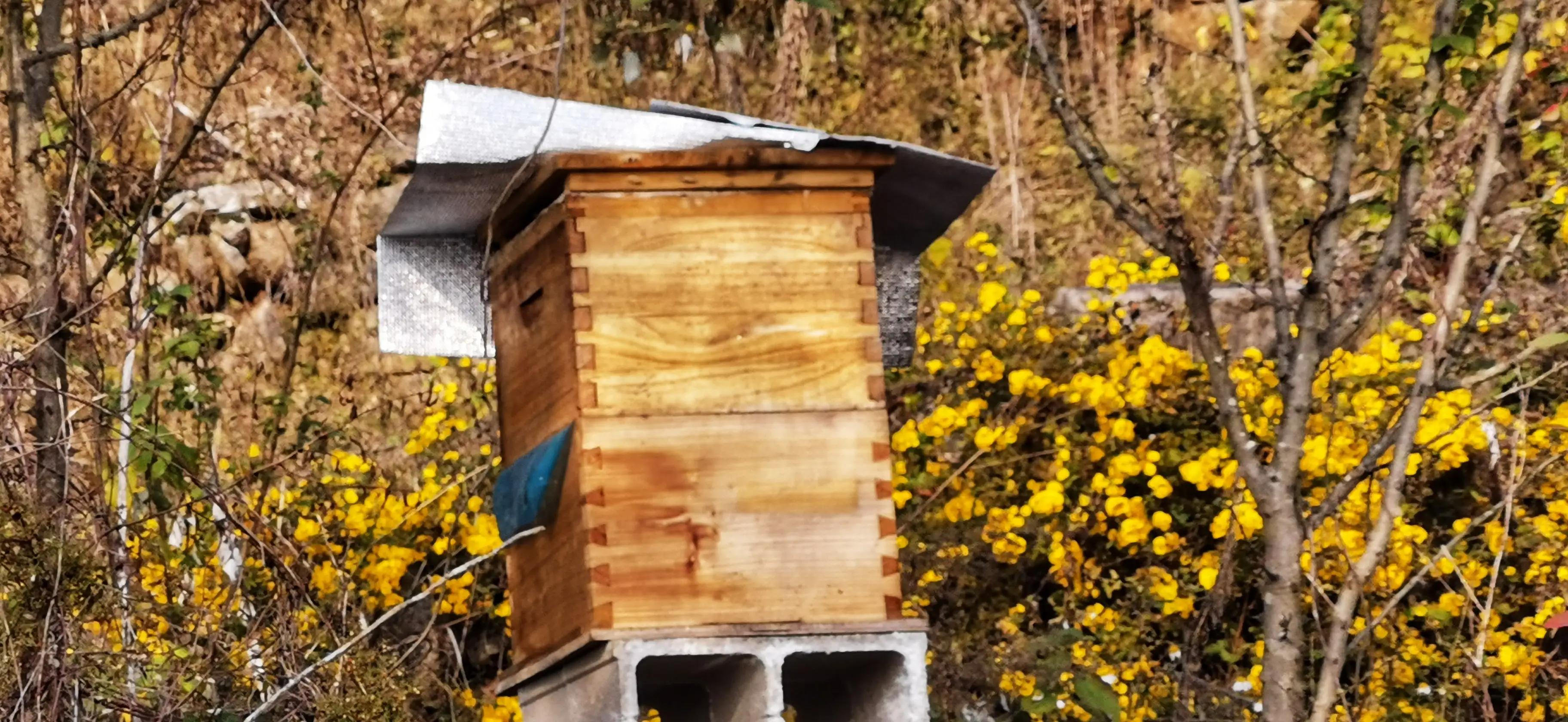 蜜蜂嗡嗡*花采**忙秋风送爽带蜜香，甜蜜事业甜蜜歌，蜜蜂酿蜜乐山乡
