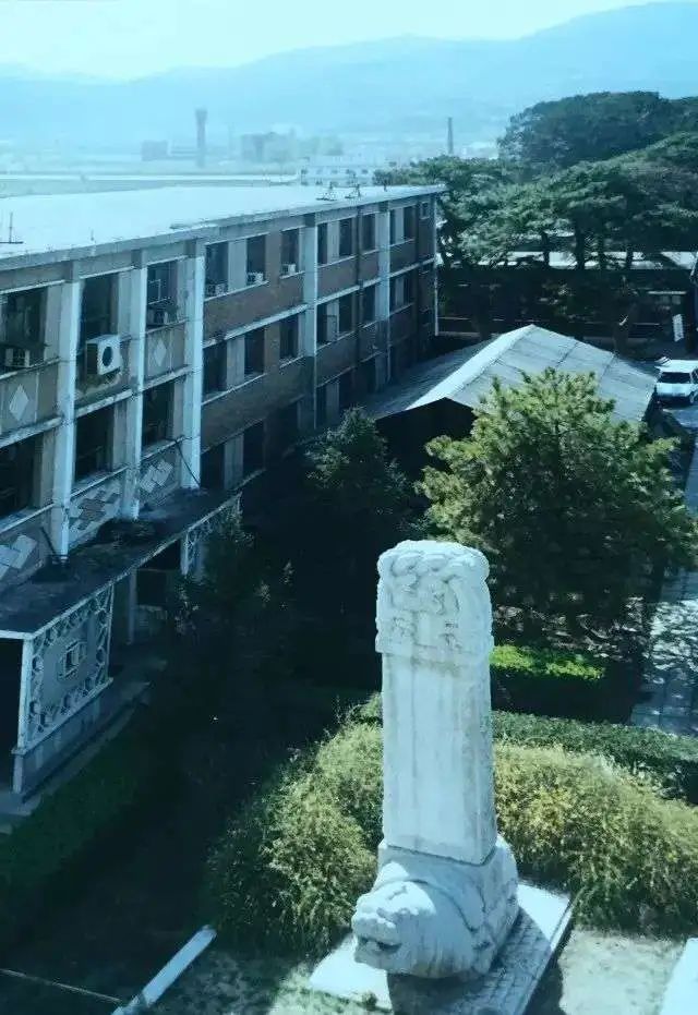 老狼贝斯手,老狼的贝斯手