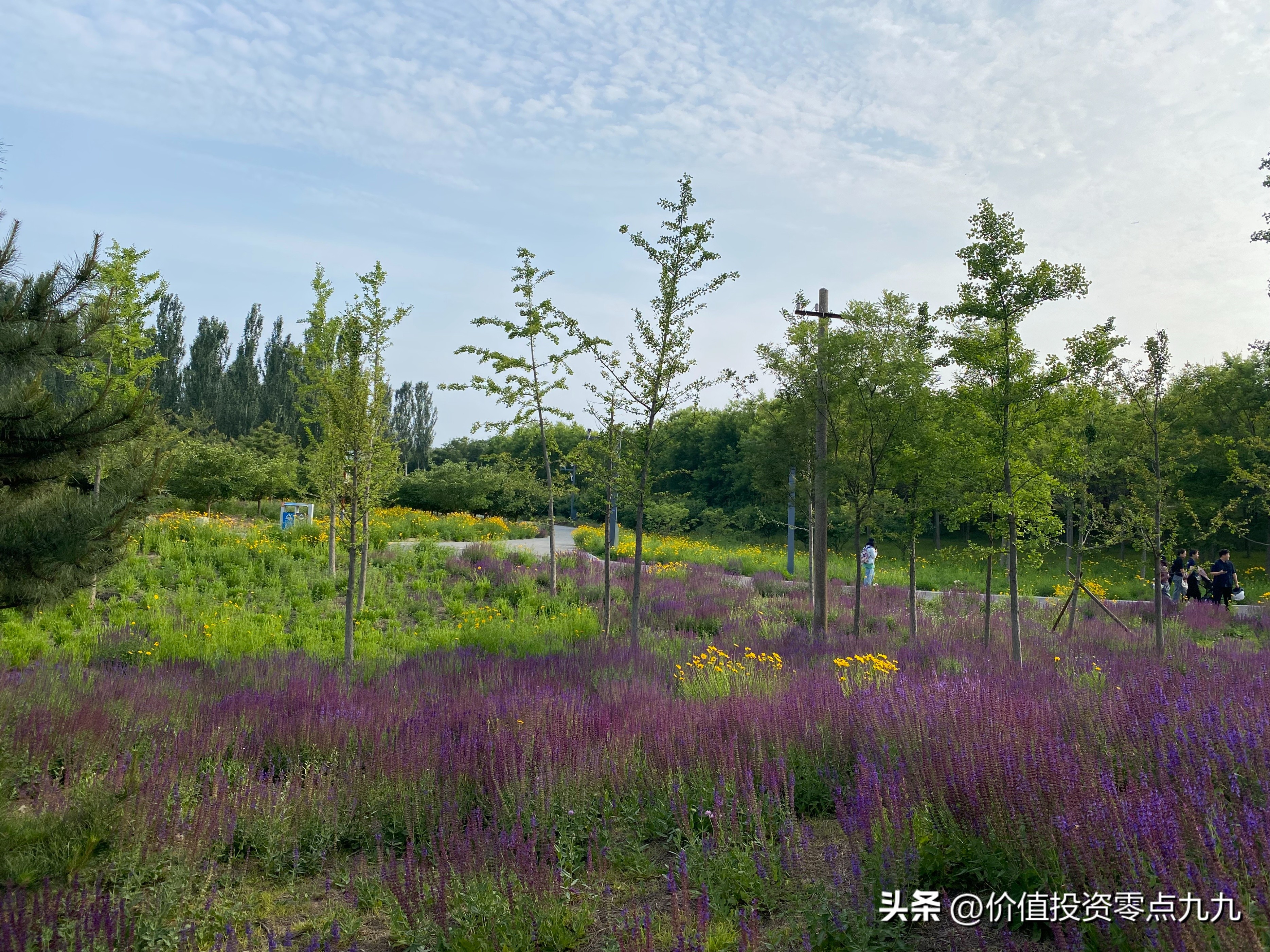 自由现金流折现估值方法教学视频,折现现金流估值法与相对估值法