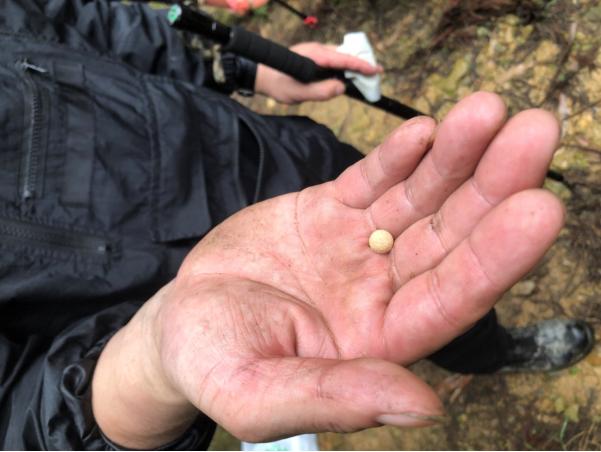 北碚三圣龙王村,重庆北碚山水龙王村