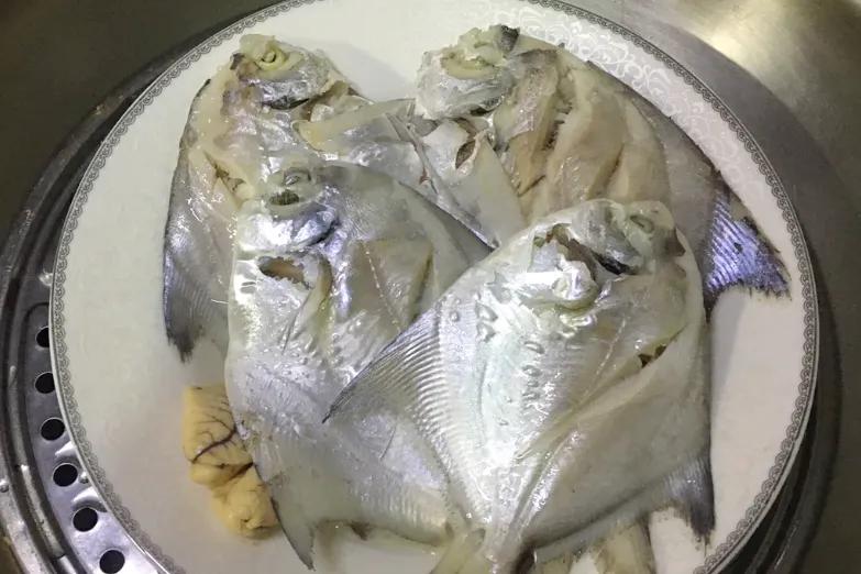 入秋后买海鲜，别忘挑5种“海鱼”，野生海鱼居多，肉质嫩还便宜