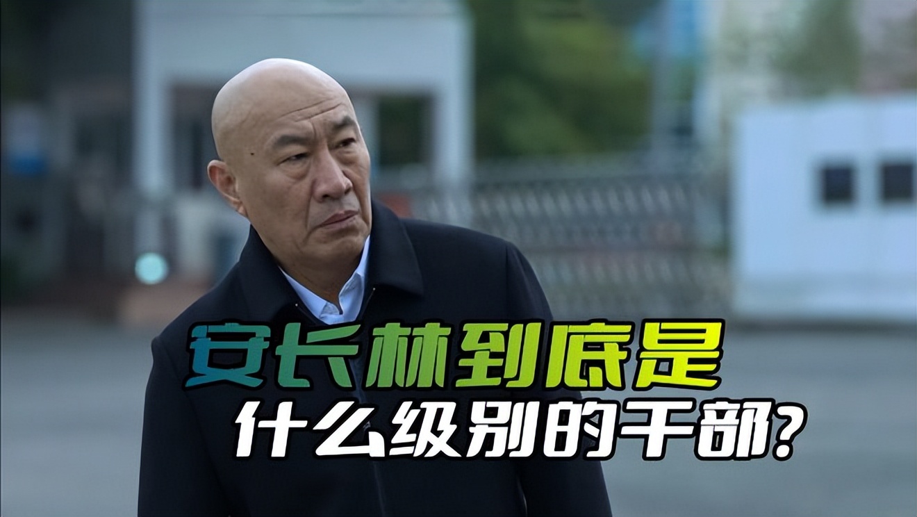 狂飙安长林是什么职务,狂飙安长林后来担任什么职务