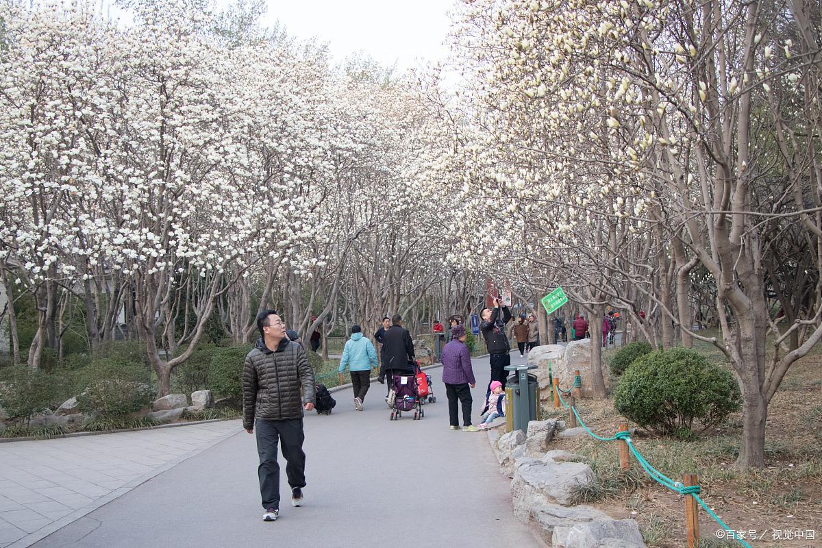 济南近郊旅游景点top10,济南市必去的景点推荐