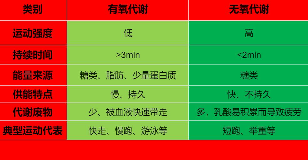 减肥神器助你告别赘肉肌肉,夏天无器械减肥操