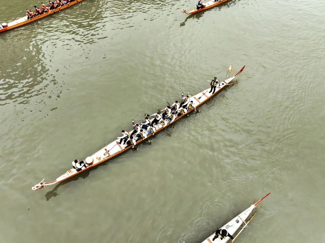南京龙舟比赛直播,南京企联杯龙舟比赛