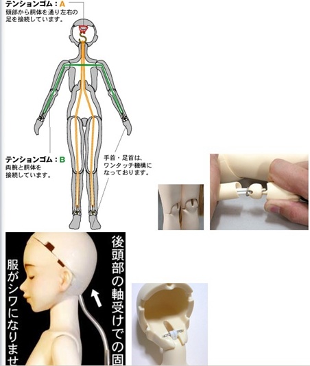 模型胶佬也自叹不如少女们的兴趣爱好科普娃娘与BJD的那些事