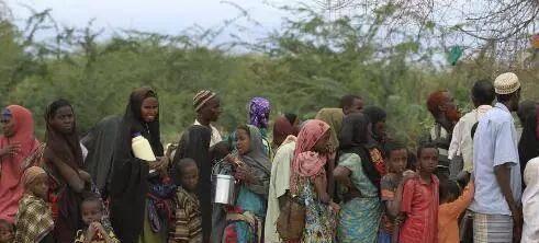 非洲人的智慧与坚韧：解密生存之道