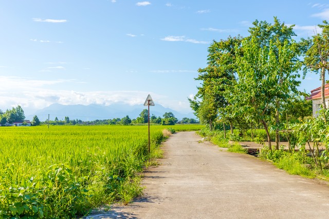 人生平淡无奇偶尔也要疯狂,每一个平淡无奇的日子
