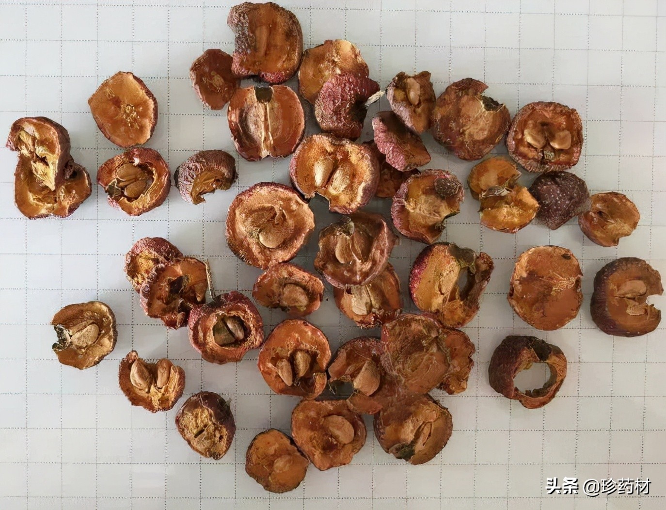 12月27日中药材市场快讯：连翘、柴胡、山楂、僵蚕、板蓝根、菊花