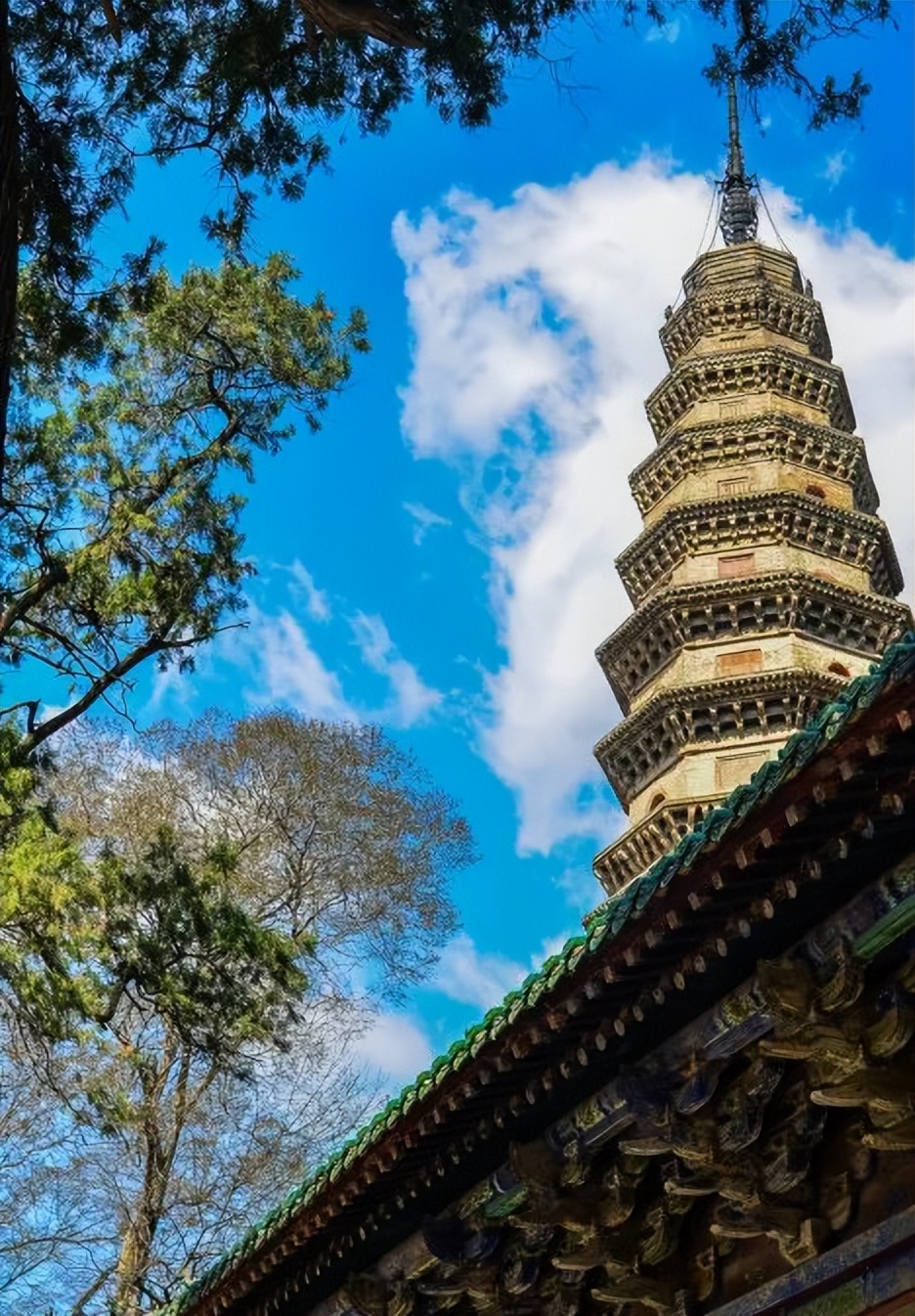 济南近郊旅游专线,济南开通的几条旅游线公交不错