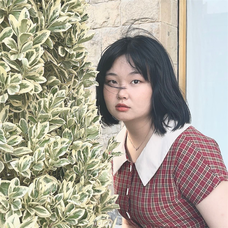 桃花源第三届桃花艺术节,桃花源艺术展