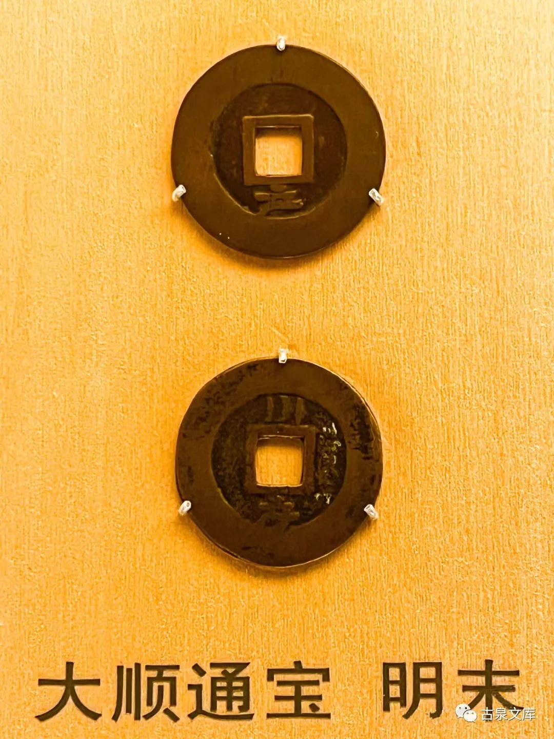 崔淳钱币专家,崔淳钱币