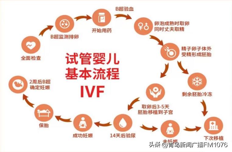 揭秘试管婴儿孕育全过程,试管婴儿诞生原理