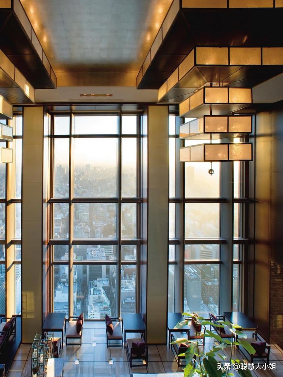 日本樱花花海浪漫之旅,日本旅游看樱花之旅攻略