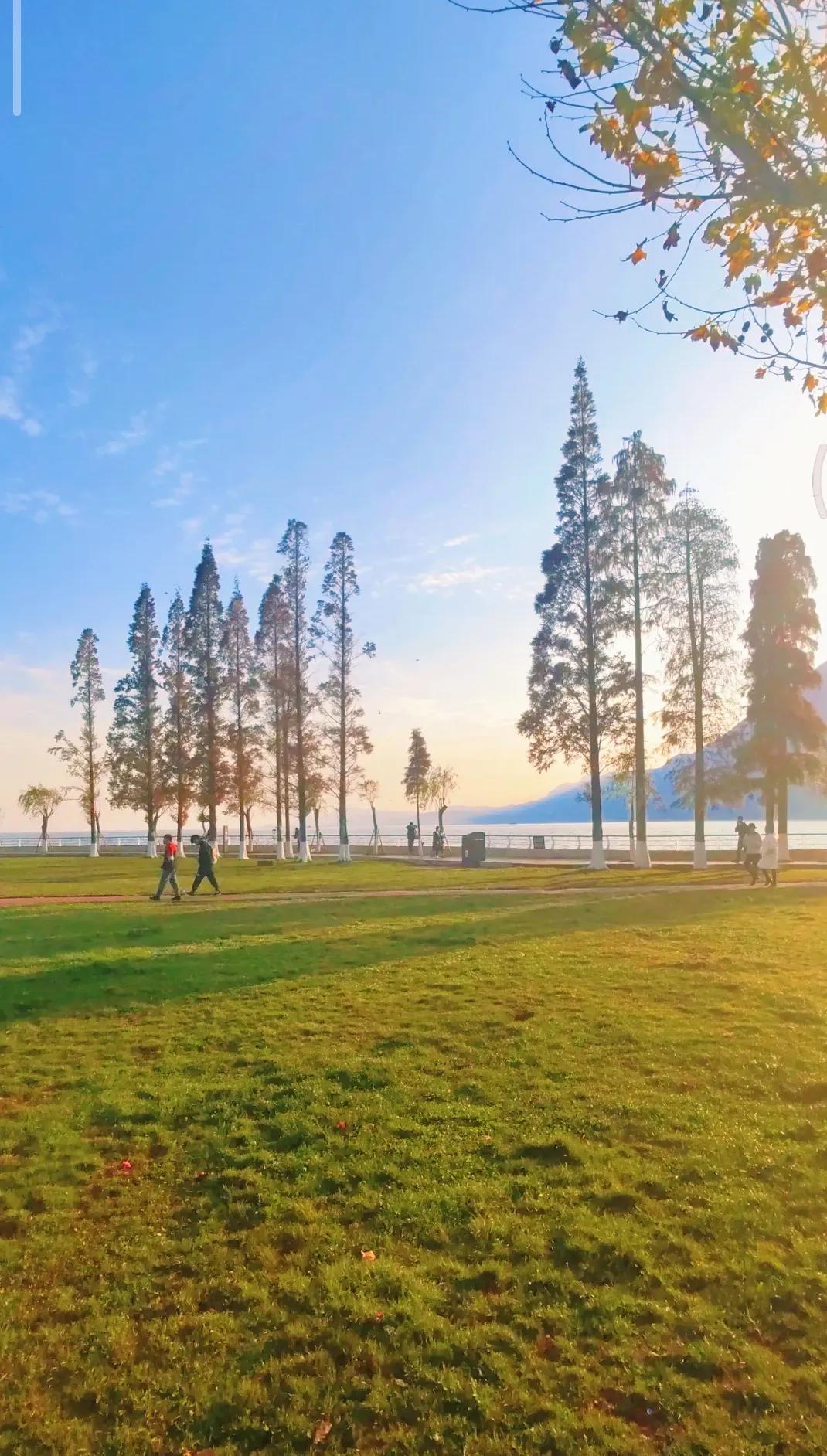 大美云南风景区,昆明海埂花园