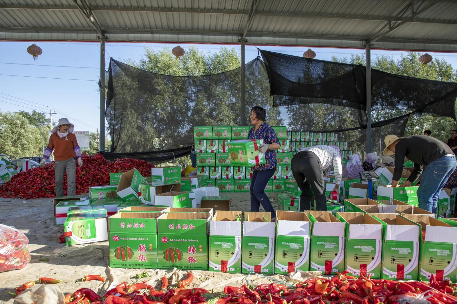 隆德农业产业园,隆德县创业扶持