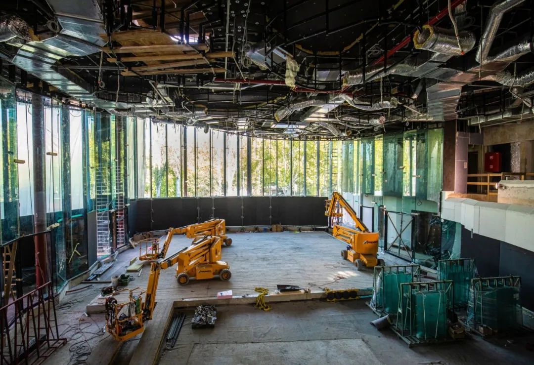 与藤本壮介一起走进金色叶子‘殿堂’，匈牙利音乐之家