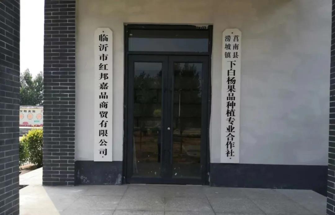 百社争流千帆竞乡土大地绘蓝图——莒南县*党**支部创办合作社专题展播（五）