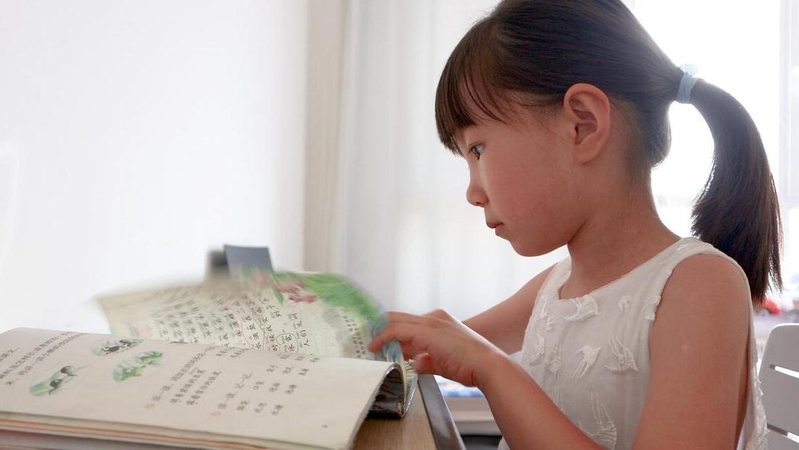 一年级上册语文期末重点考点总结,一年级语文下册期末考点归纳