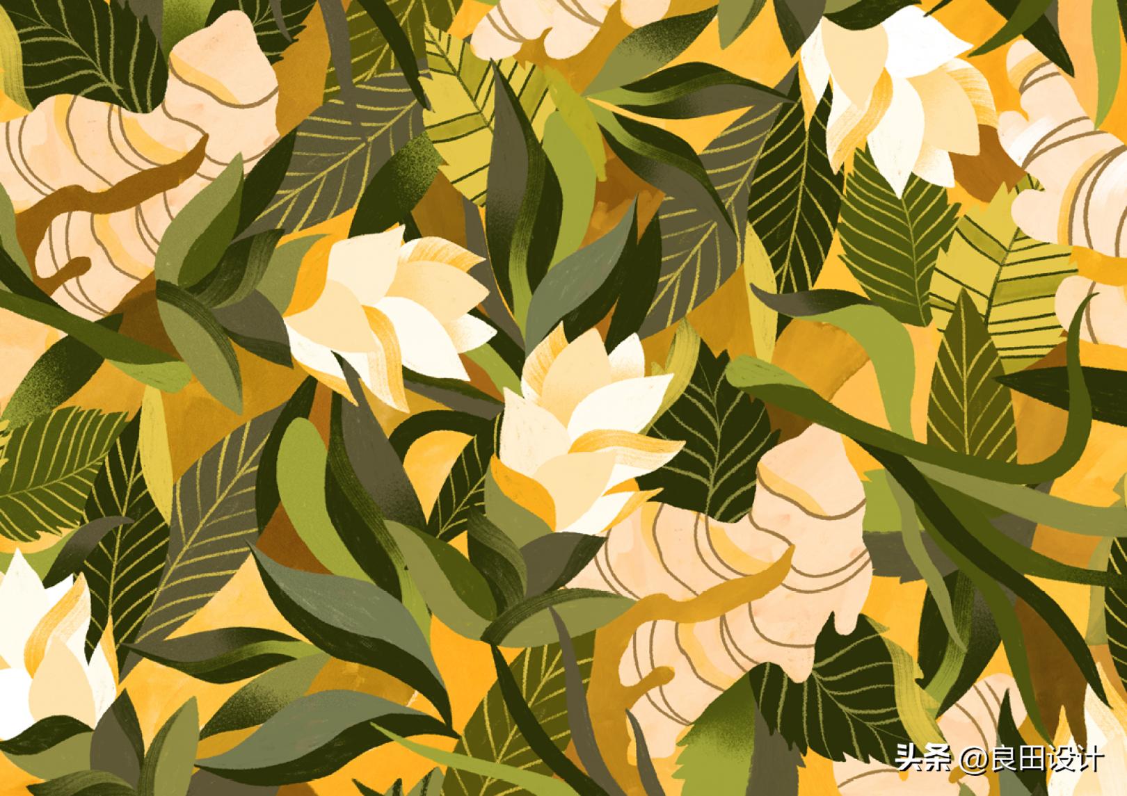 东非凉茶系列Kib的包装设计灵感来自循环农业