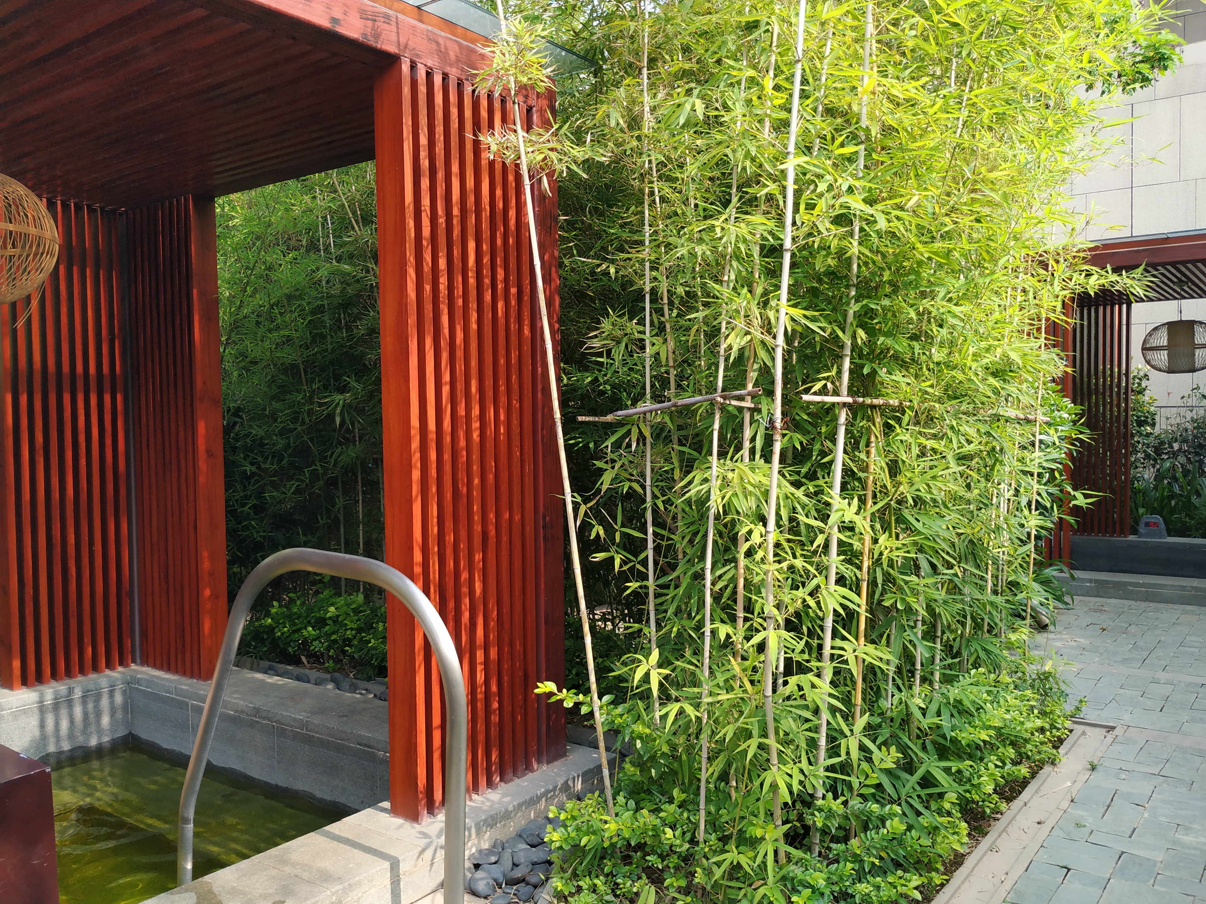 天冷泡露天温泉冷吗,冬日温泉慵懒