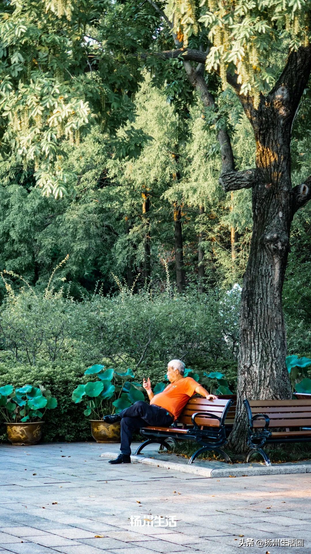 扬州夏天最热多少度,扬州苏州夏天哪个热