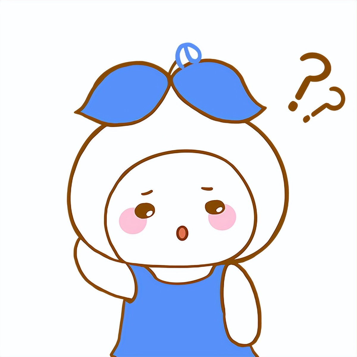 海口最近被骗的人,海口被骗5万元