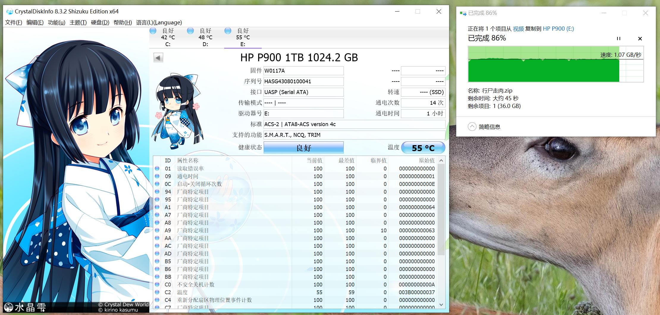 惠普p900移动固态,惠普p900读速多快
