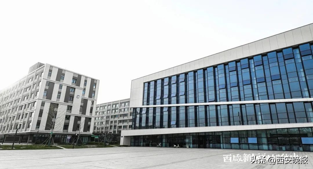 234套人民币全套在哪预定,234套人民币价格表