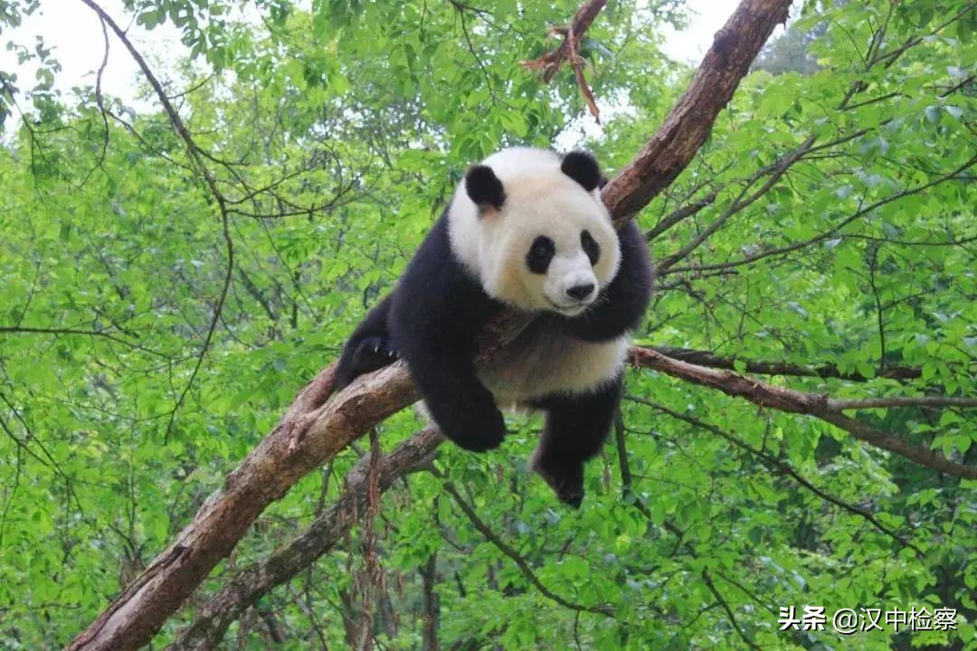 汉中西乡一个来了就不想走的地方,汉中这座城市怎么样