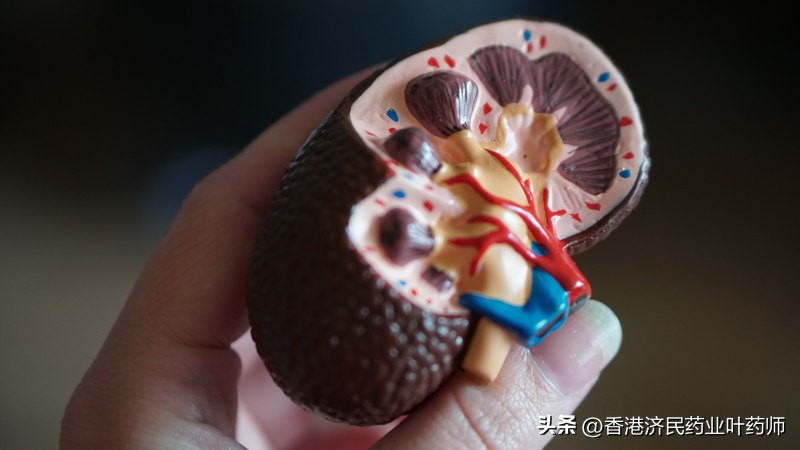 NefIgArd试验3期：TARPEYO（布地奈德）改善IgA肾病患者肾脏参数