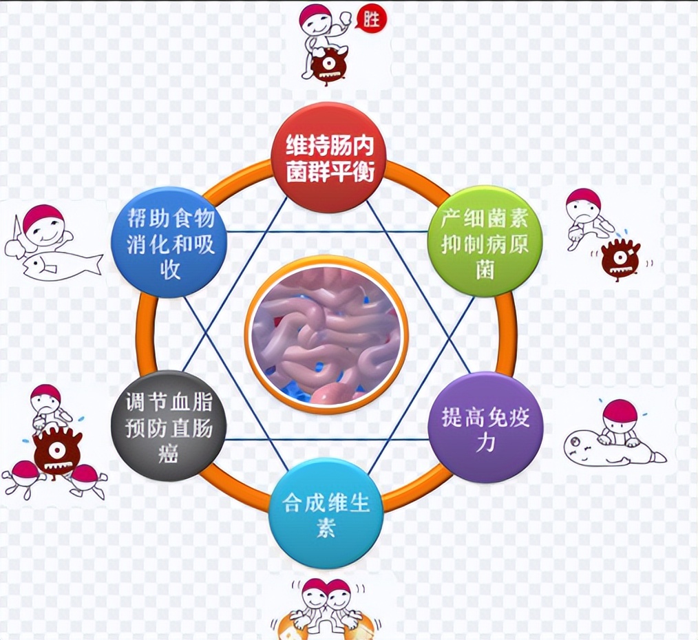 人体抵御细菌感染的第一道防线,人体卫士大战细菌
