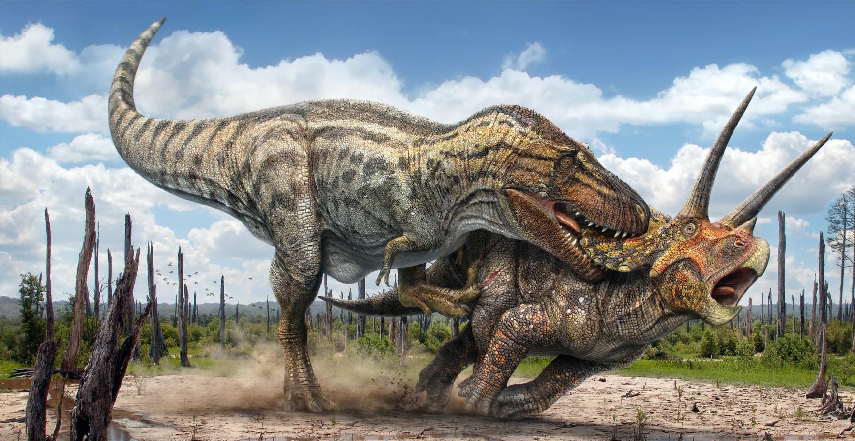 五种比霸王龙还厉害的恐龙,十种可以秒杀霸王龙的恐龙