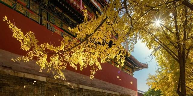 最有气势的十首帝王诗,历代皇帝最有气势的诗