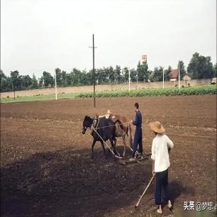 21张真实又罕见的老照片，阴毛假发工作者，我怀疑他用错地方了