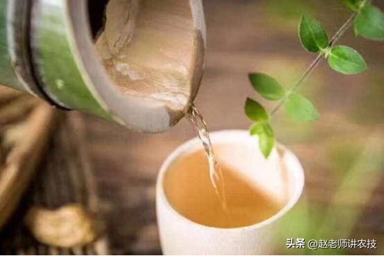 关于竹筒酒你了解多少,竹筒酒好喝吗真的假的