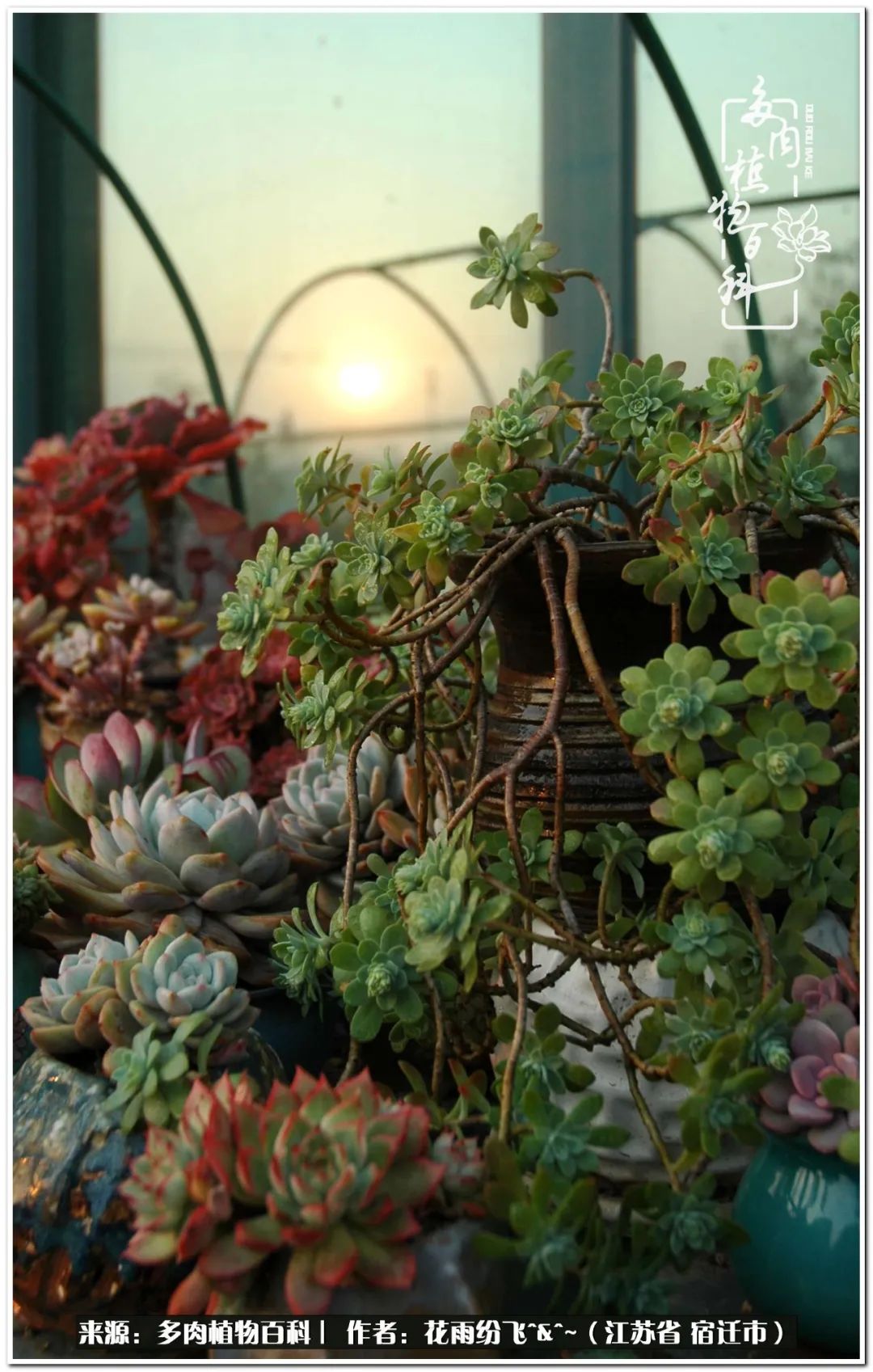 快乐的童年时光视频,回味快乐的童年美好的时光