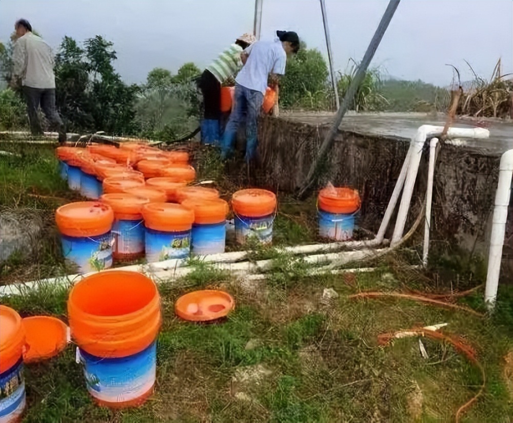 根施和喷施有什么区别,肥料是灌根好还是喷叶面好