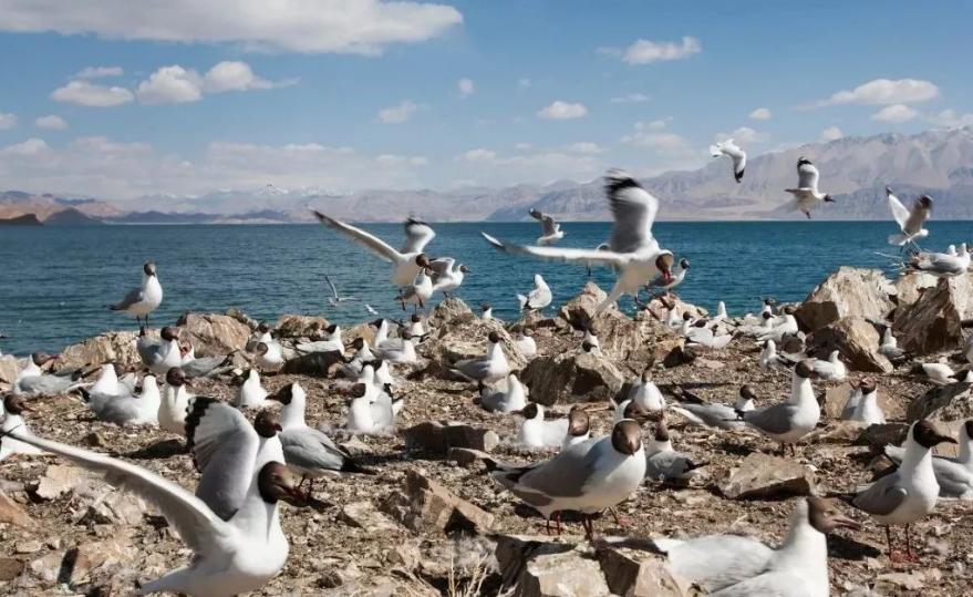 纳木错让人窒息的美,纳木错真的美到失语