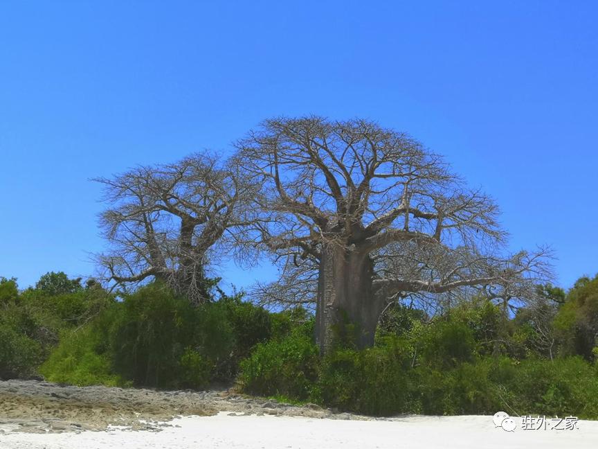 厌倦坦桑尼亚回国，累计被关5个多月后，我又重新选择驻外