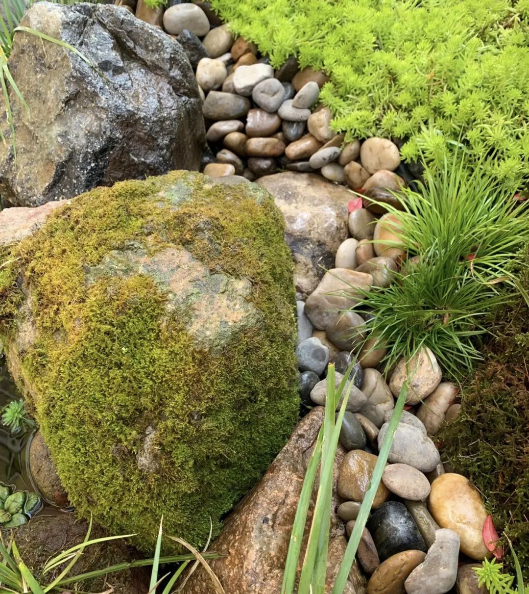 邻居扔垃圾屡教不改,邻居总是扔垃圾在花坛