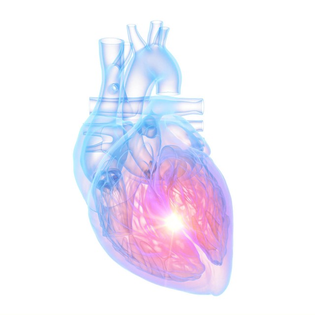 心脑血管堵塞吃什么治好,高科技治好心脑血管疾病